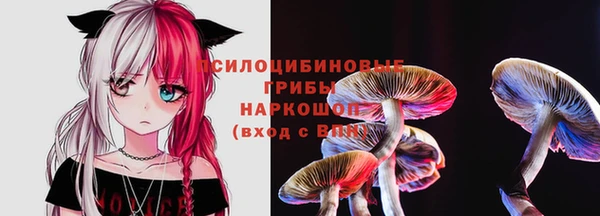 гидропоника Семёнов