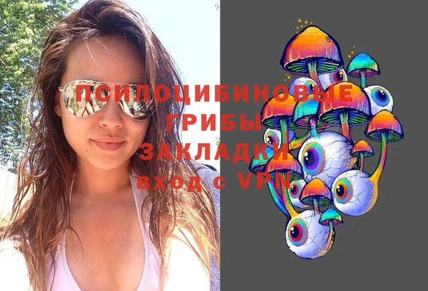 гидропоника Семёнов